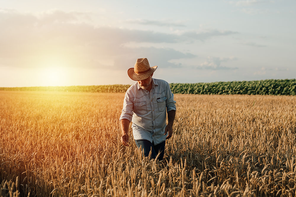 Farmer